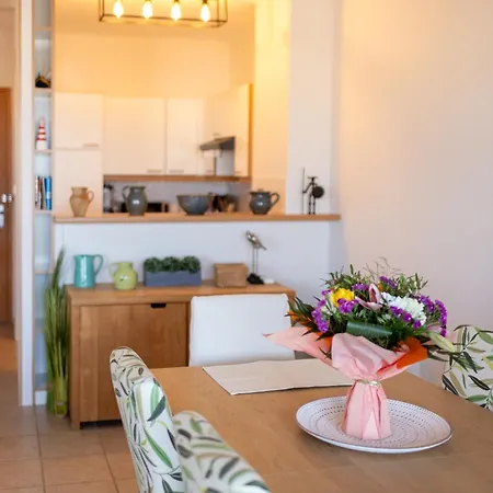 Tres Bel 4 Pieces En Duplex Face Marinas Apartment Saint-Cyprien (Pyrenees-Orientales)